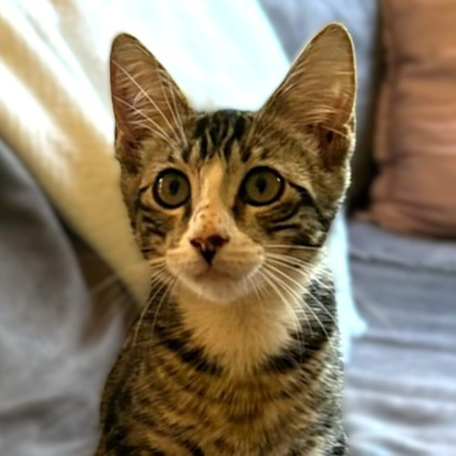 Photo of Elric