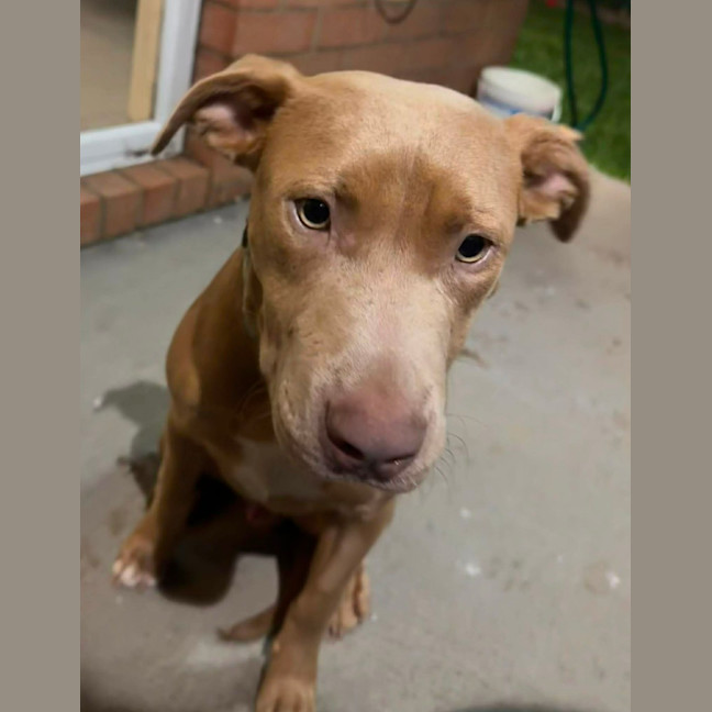 Photo of Buster