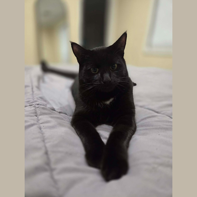 Photo of Orlando