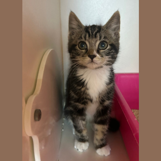 Photo of Micro
