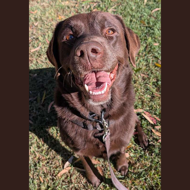 Photo of Luna