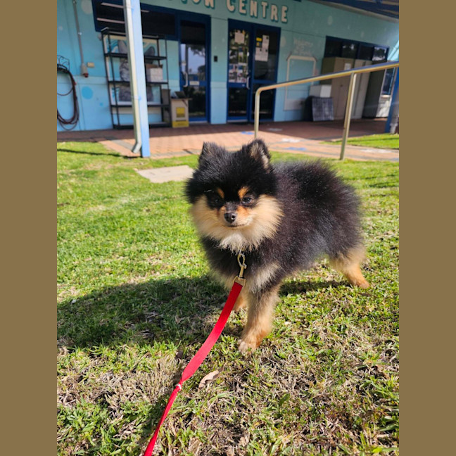 Photo of Storm