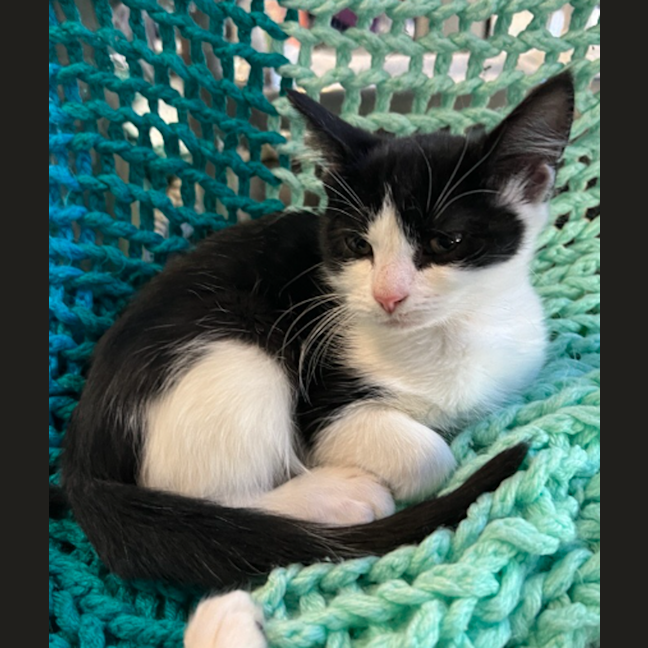 Photo of Beep 