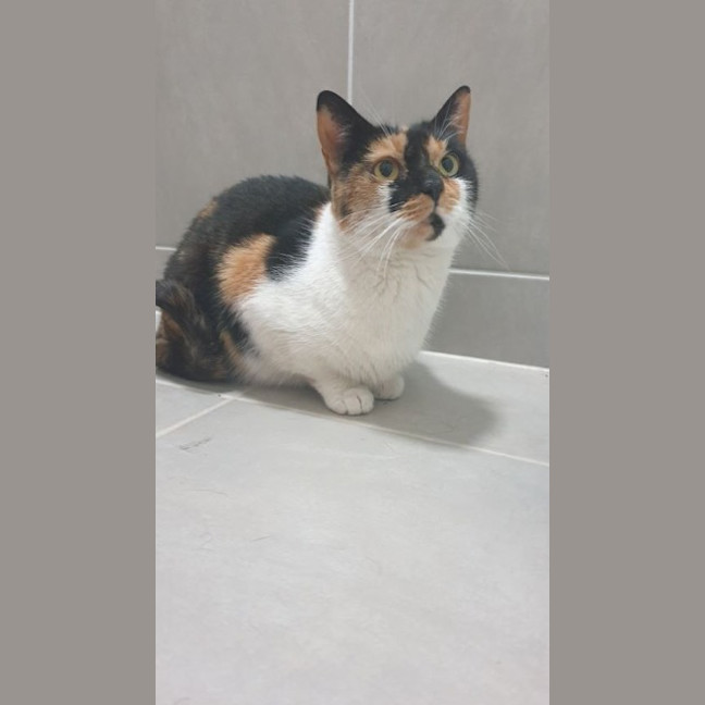 Photo of Queen Mimmi