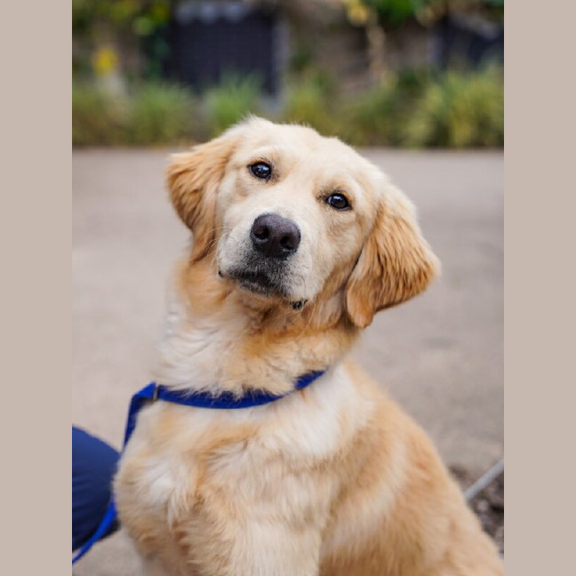 Photo of Arlo