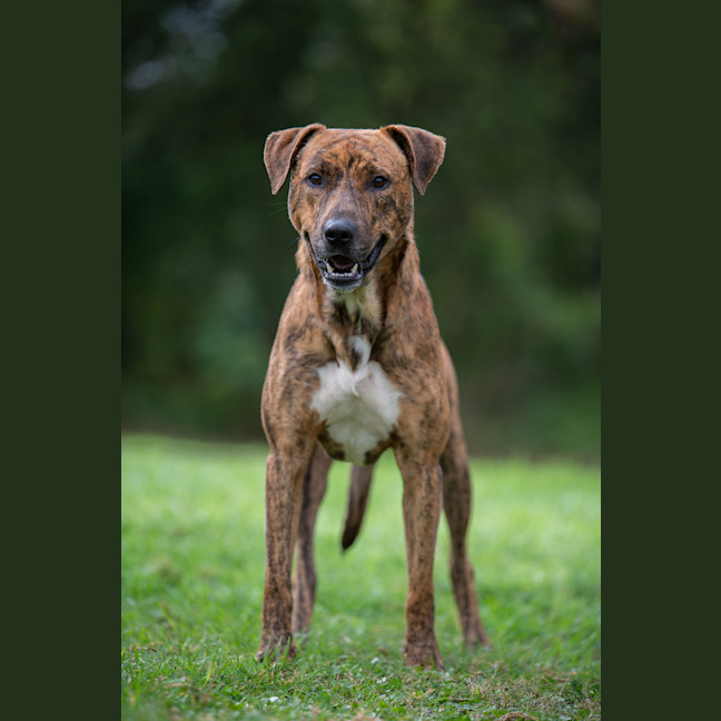 Photo of Remy