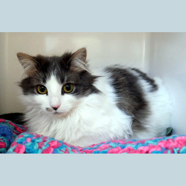 Photo of Lily Sta012784