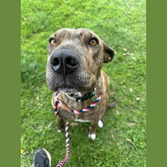 Photo of Lola