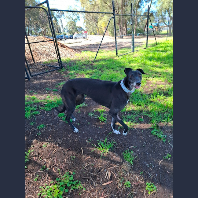 Photo of Tayla