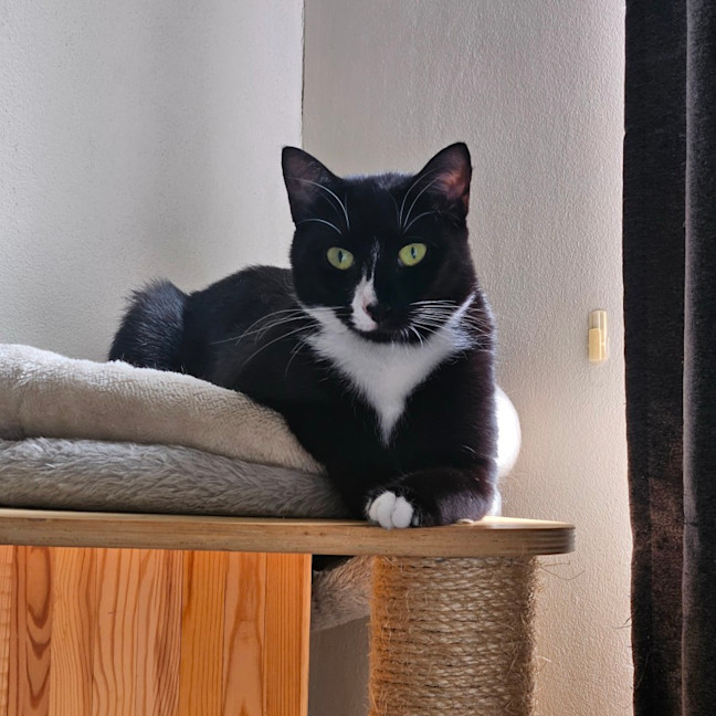 Photo of Neo