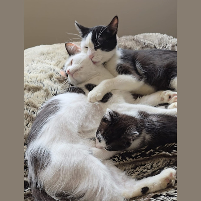 Photo of Luna & Mikey