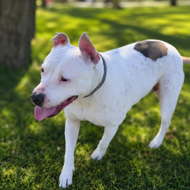 Photo of Tilly 