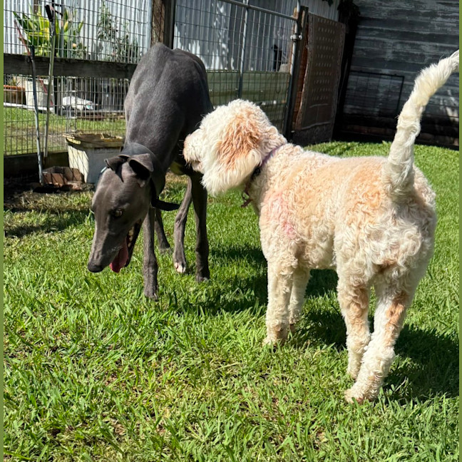 Photo of Wally