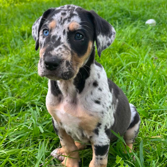 Photo of Kira