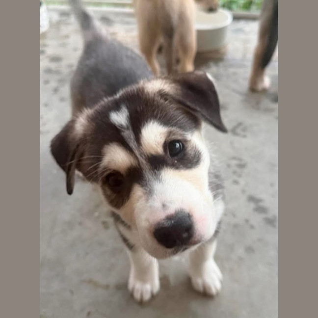 Photo of Arya