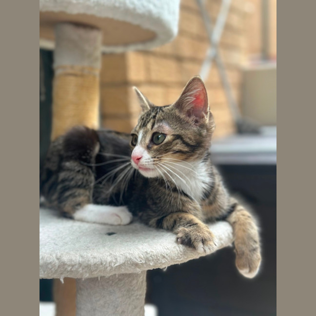 Photo of Spud