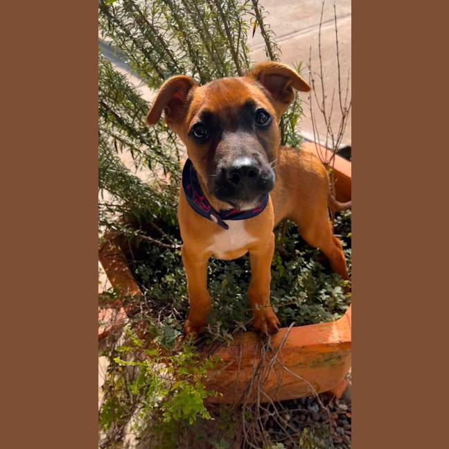 Photo of Tex