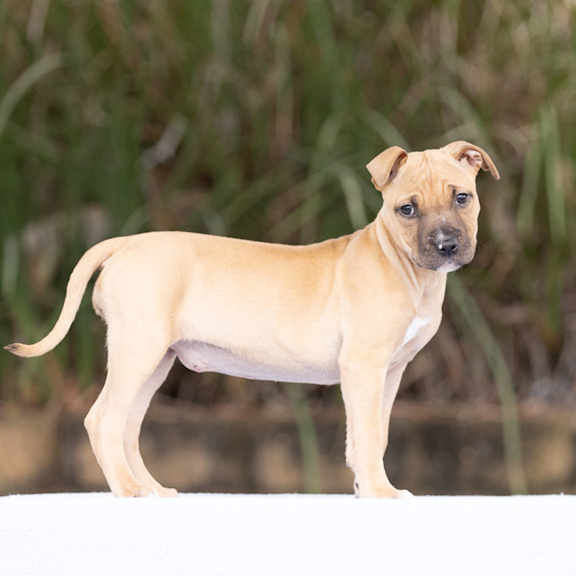 Photo of Winnie