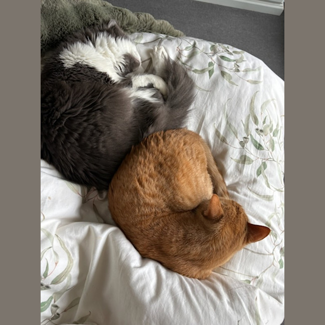 Photo of Eddie And Mac