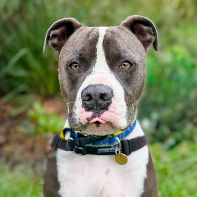 Photo of Bruce