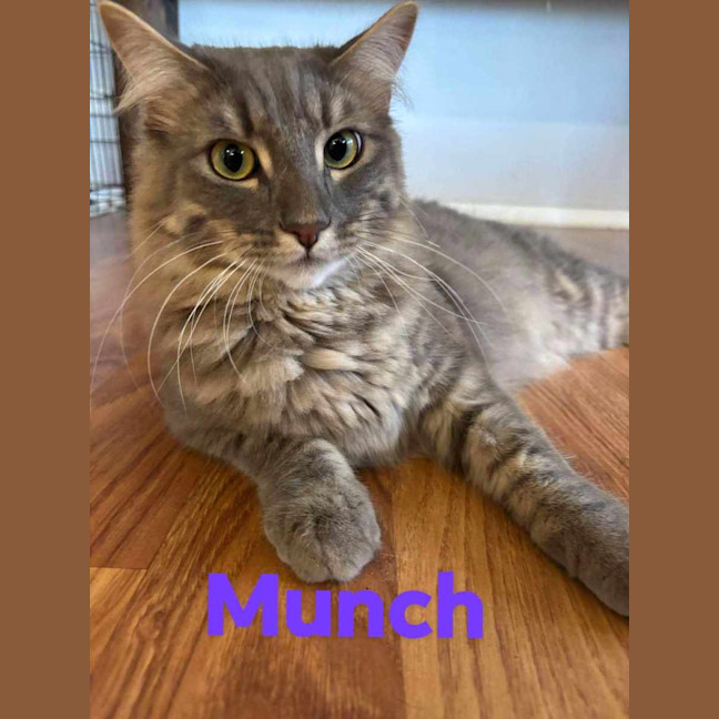 Photo of Joey And Munch 