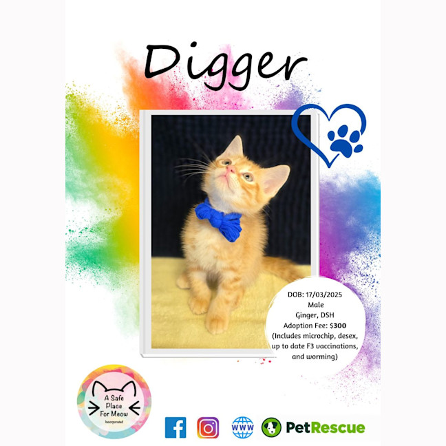 Photo of Digger