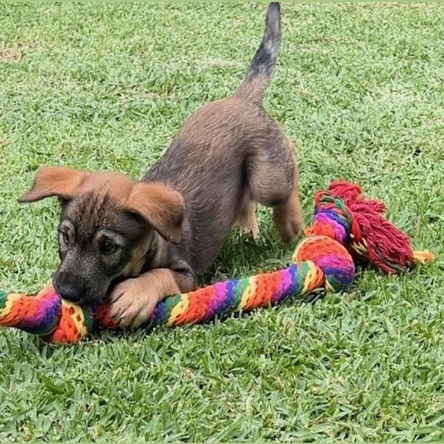 Photo of Lilly
