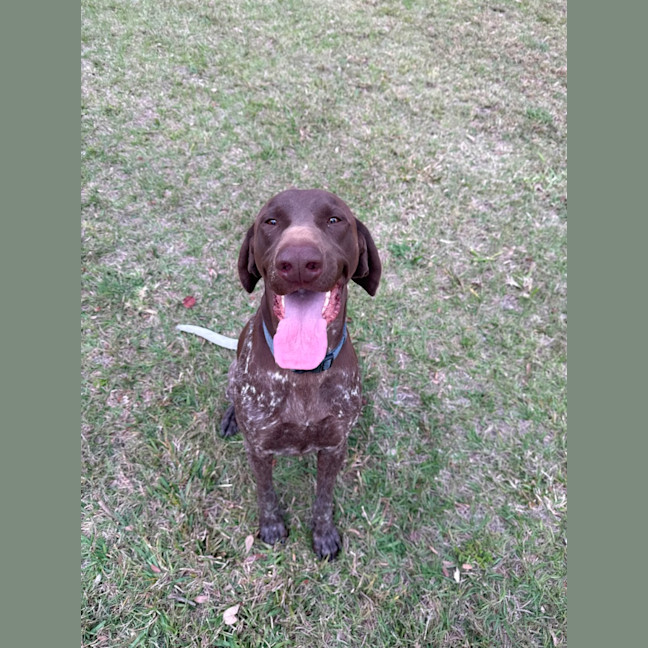 Photo of Cash