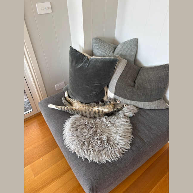 Photo of Billy Button