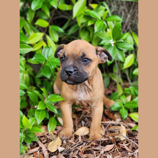 Photo of Emmie
