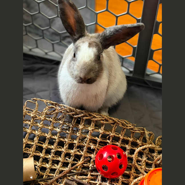 Photo of Kira