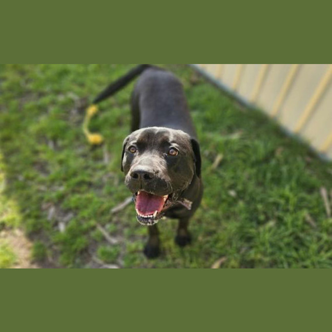 Photo of Betty