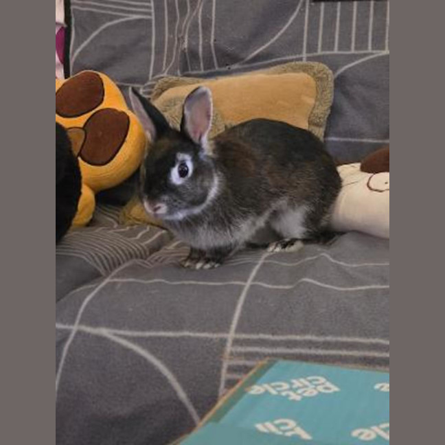 Photo of Alex & Dobbie