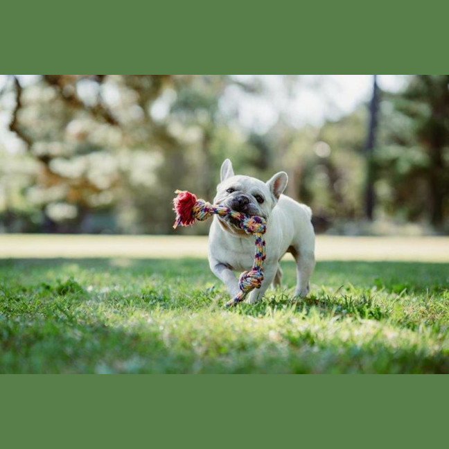 Photo of Bee O’cleary