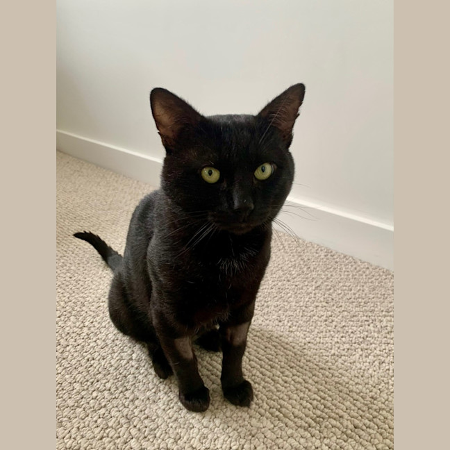Photo of Inky