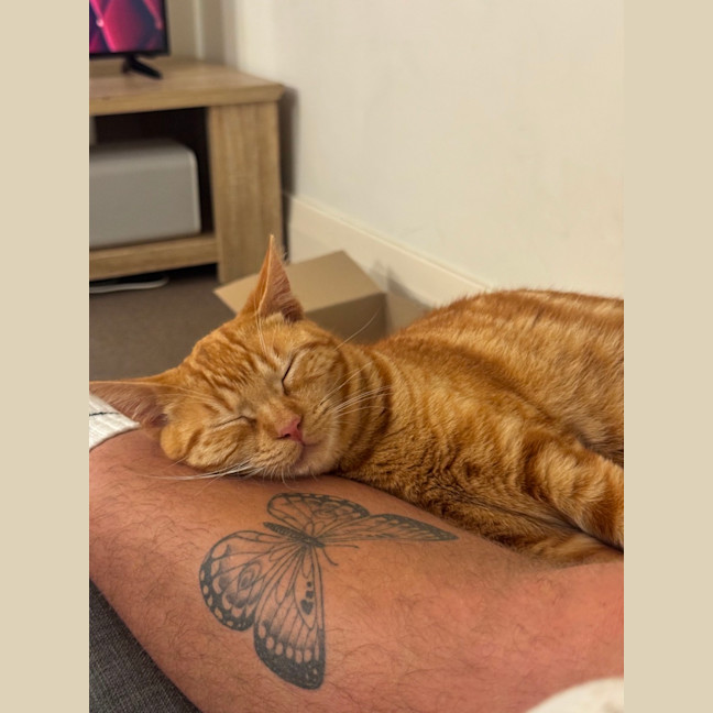 Photo of Tigger