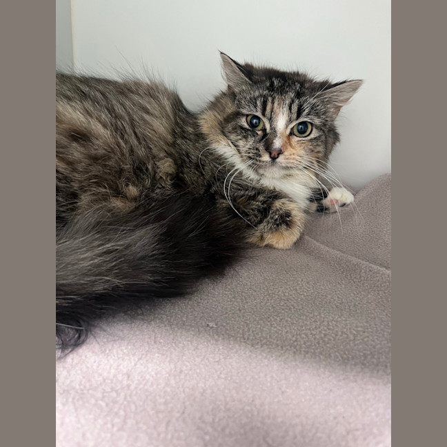 Photo of Tilly Boo