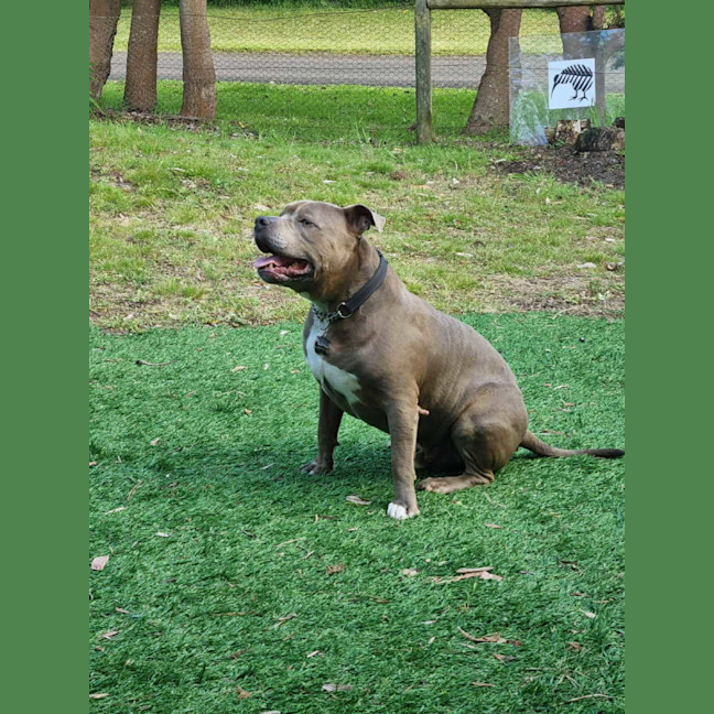 Photo of Mogwai