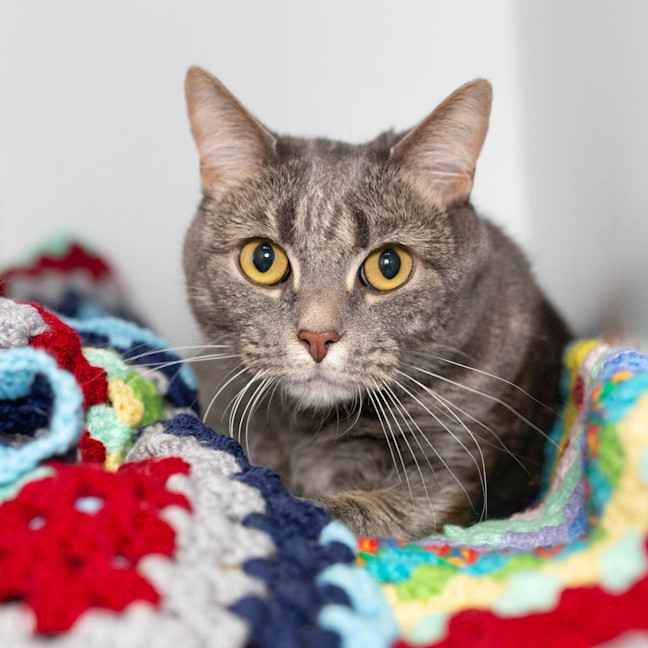 Photo of Luna