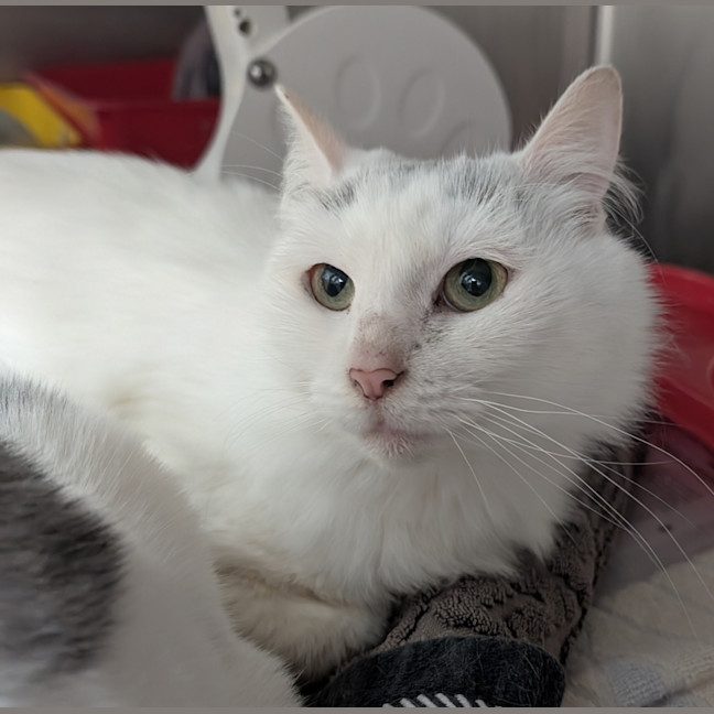 Photo of Breeze