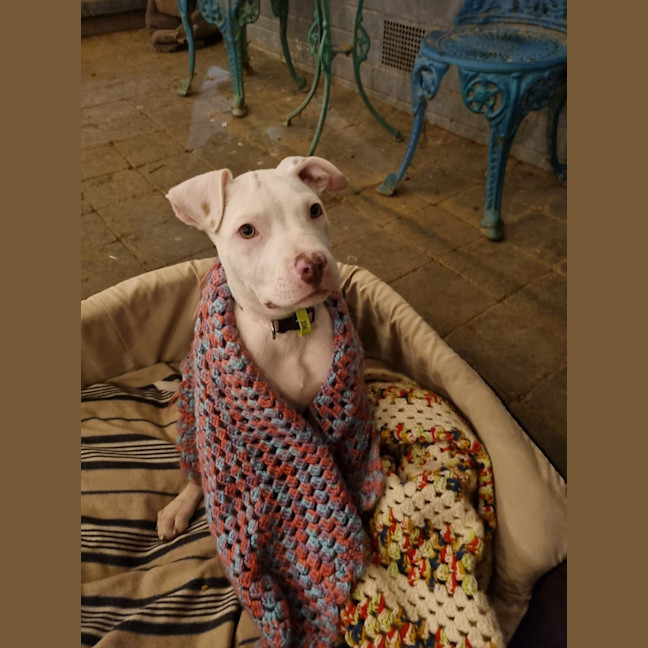 Photo of Winifred (Winnie)