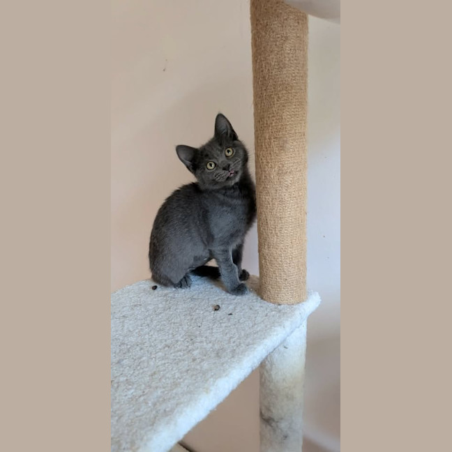 Photo of Greta