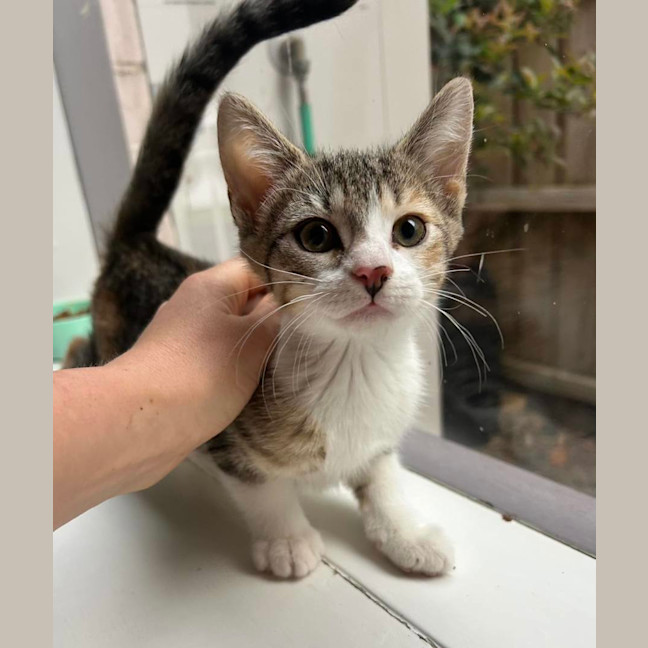 Photo of Rainer 🎄❤️