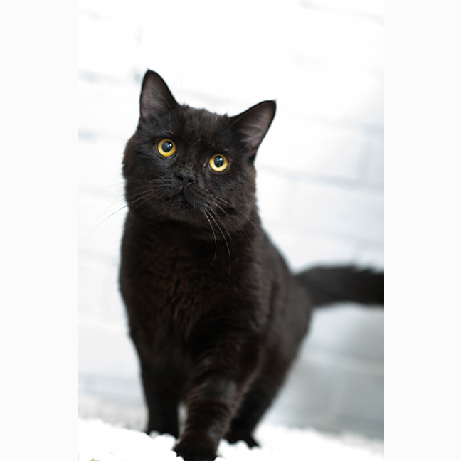 Photo of Moe