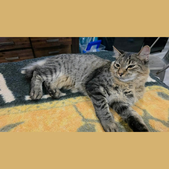 Photo of Quaza