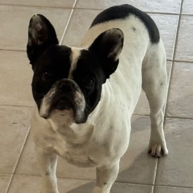 Photo of Buster
