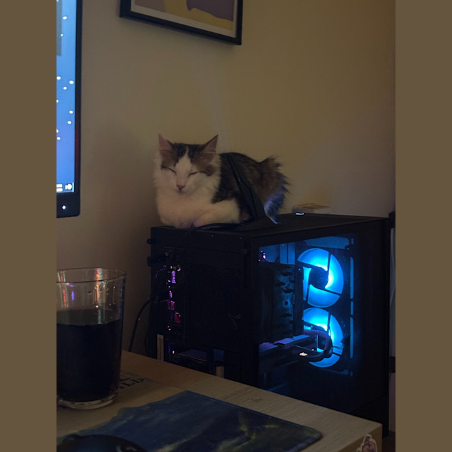 Photo of Steve