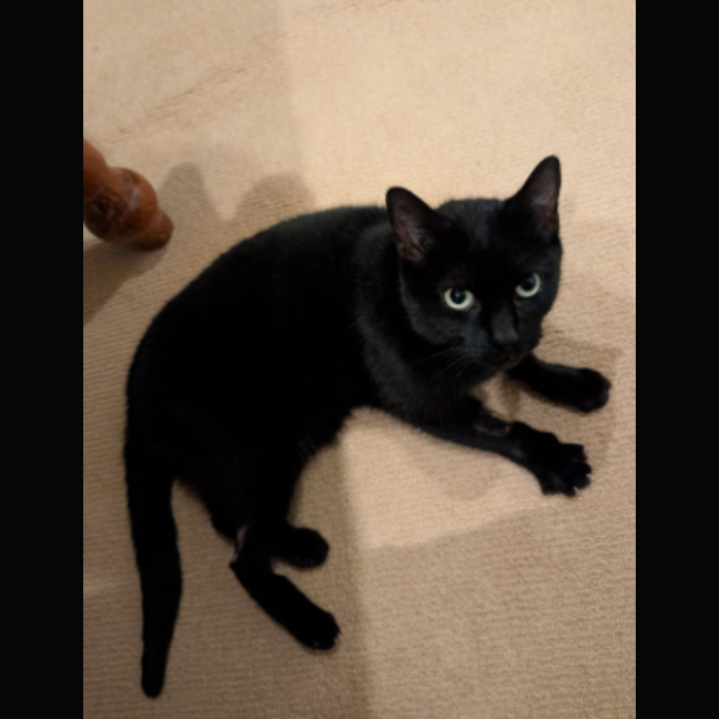 Photo of Lucy