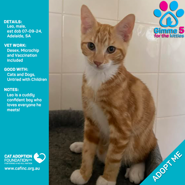 Photo of Leo 2 For 1 Mum & Bubs Deal Available!