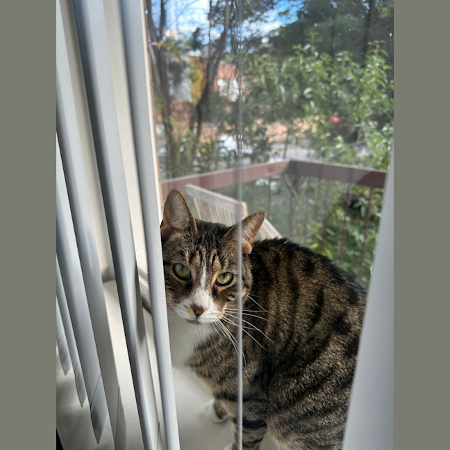 Photo of Artemis